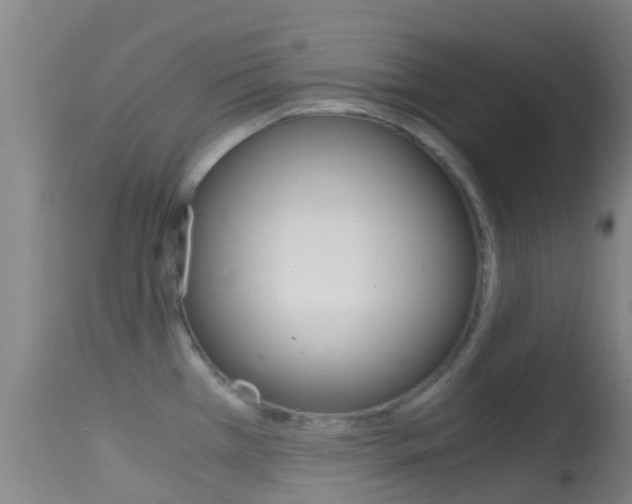 X0000114681385200910211022
