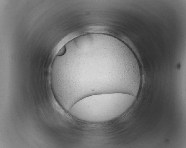 X0000114681386200910211022