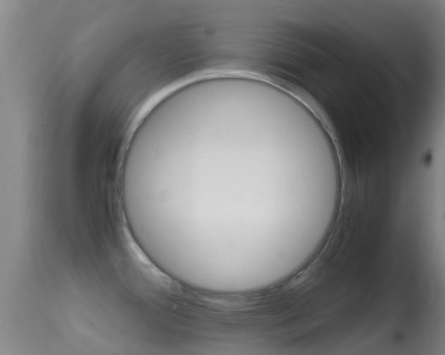 X0000114681388200910211022