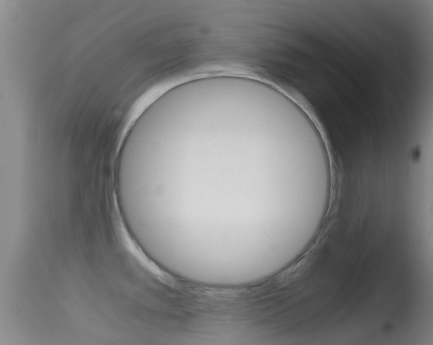 X0000114681389200910211022