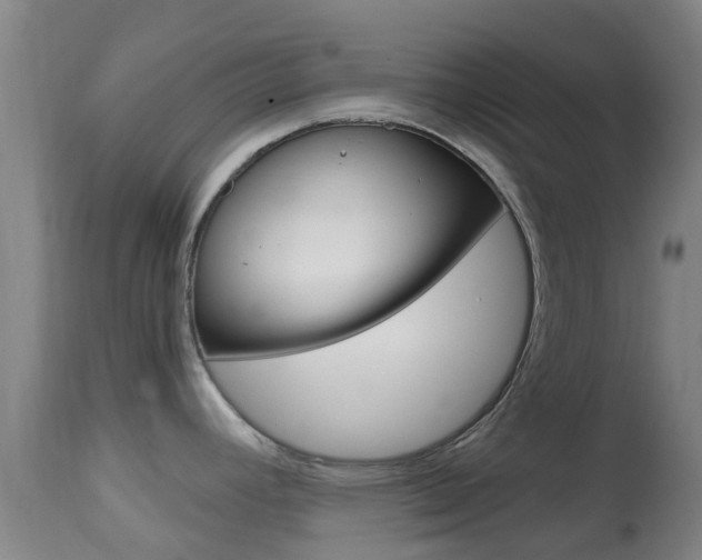 X0000114681392200910211022