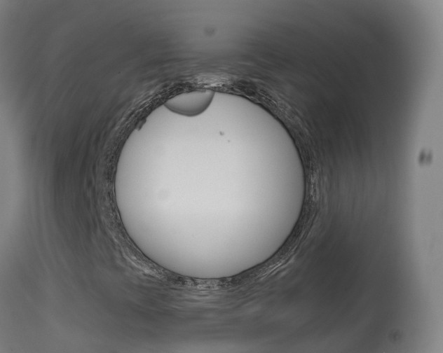 X0000114681393200910211021