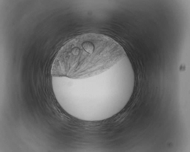 X0000114681394200910211021