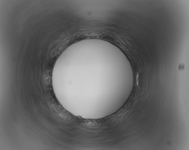X0000114681395200910211021