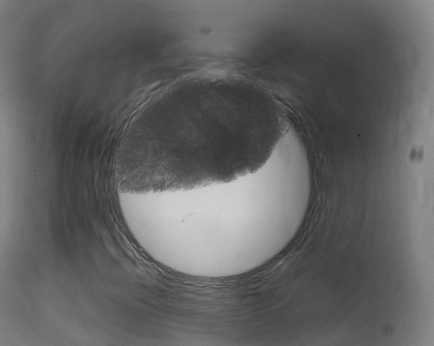 X0000114681396200910211021
