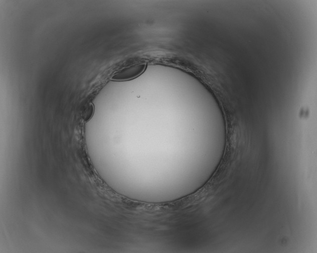 X0000114681397200910211021