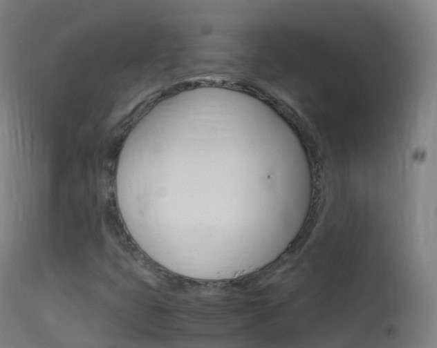 X0000114681399200910211021