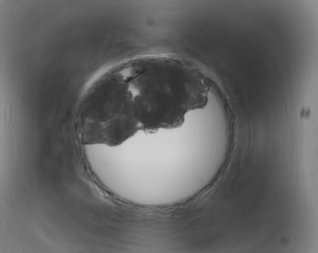 X0000114681400200910211021