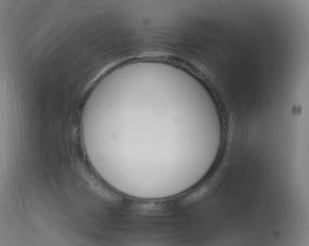 X0000114681401200910211021