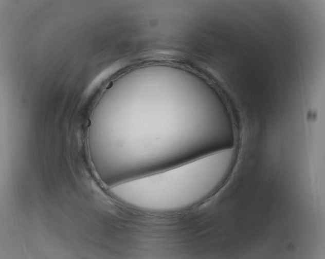 X0000114681402200910211021