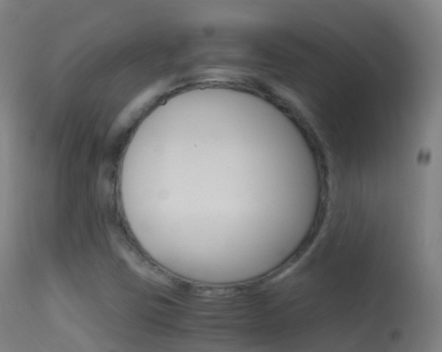 X0000114681403200910211021