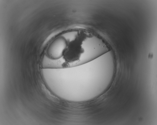 X0000114681404200910211021