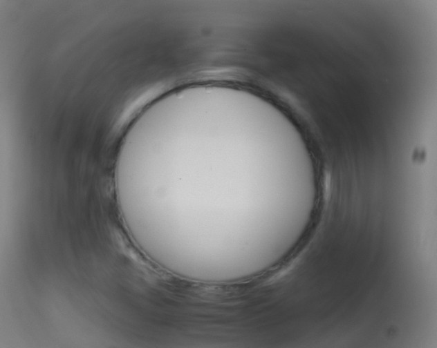 X0000114681405200910211021