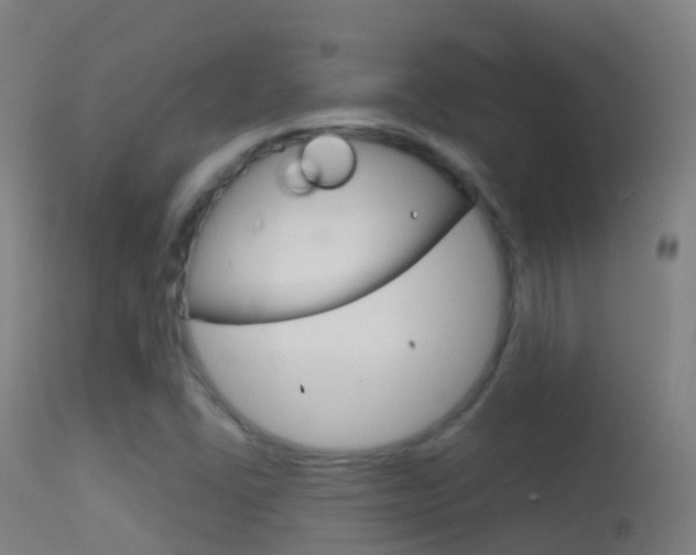 X0000114681406200910211021