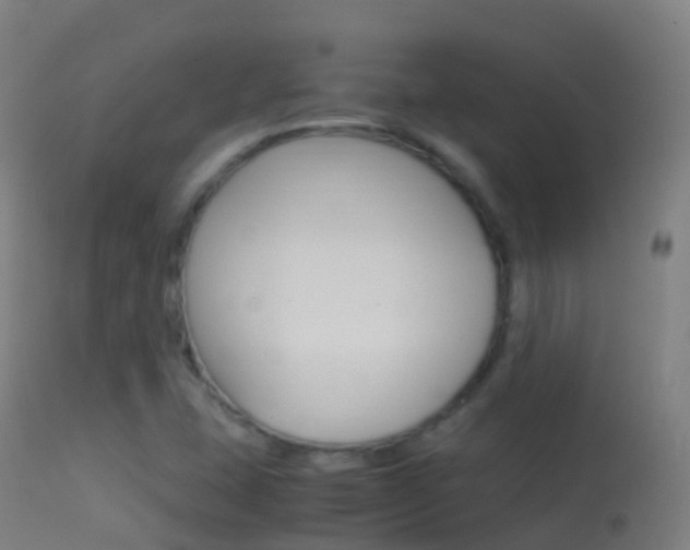 X0000114681407200910211021