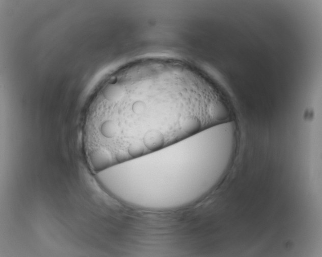 X0000114681408200910211021