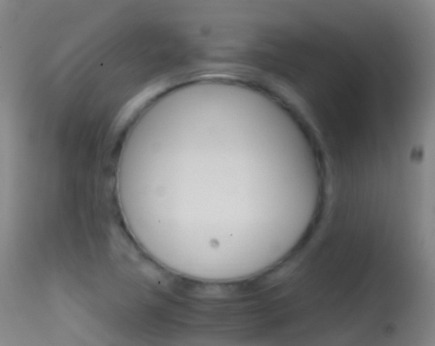 X0000114681411200910211021