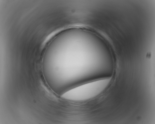 X0000114681412200910211021