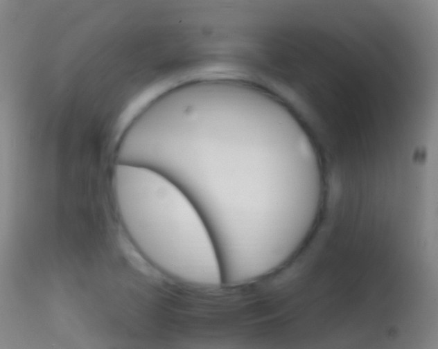 X0000114681413200910211021