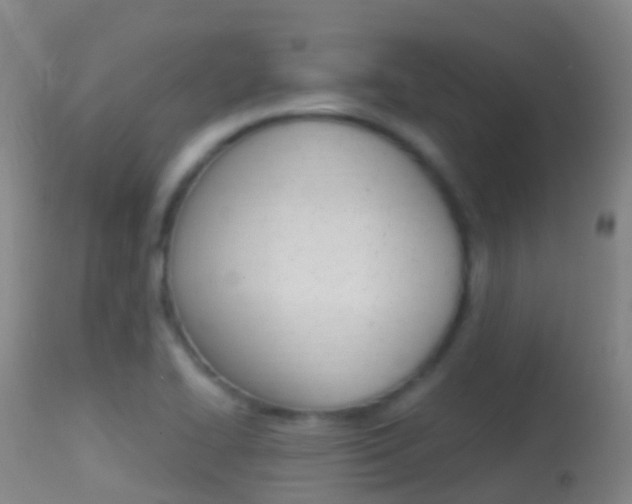 X0000114681414200910211021