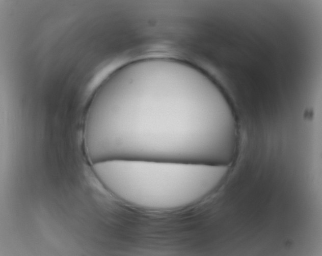 X0000114681415200910211021
