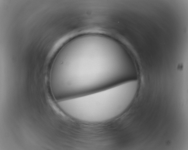 X0000114681416200910211021