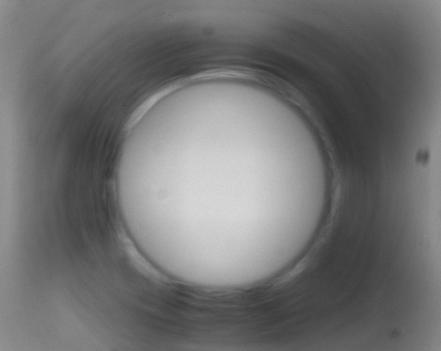 X0000114681417200910211021