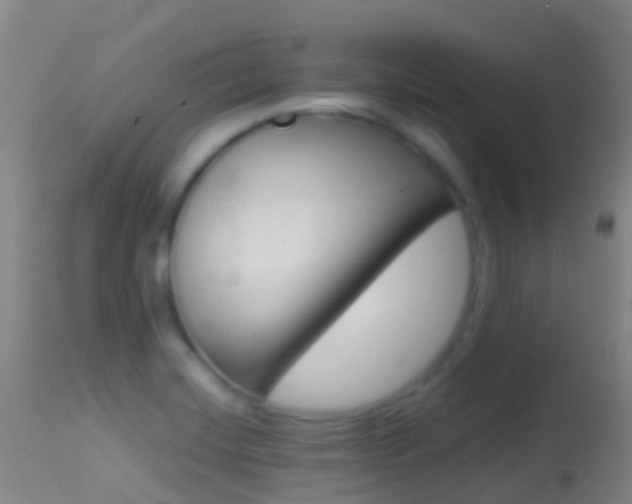 X0000114681420200910211021