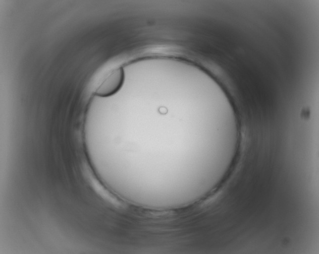 X0000114681421200910211021