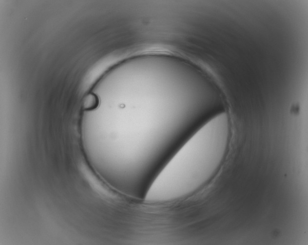 X0000114681422200910211021