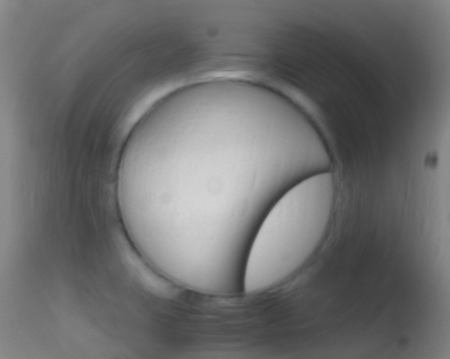 X0000114681423200910211022