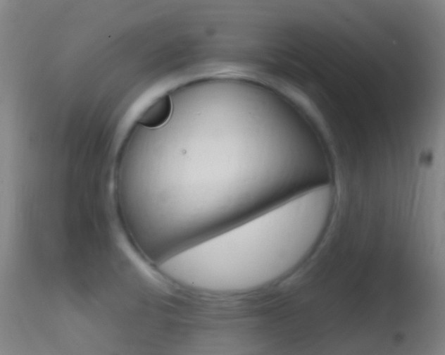X0000114681424200910211022