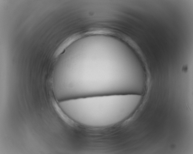 X0000114681425200910211022