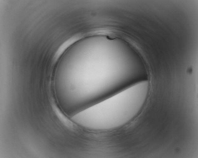 X0000114681426200910211022