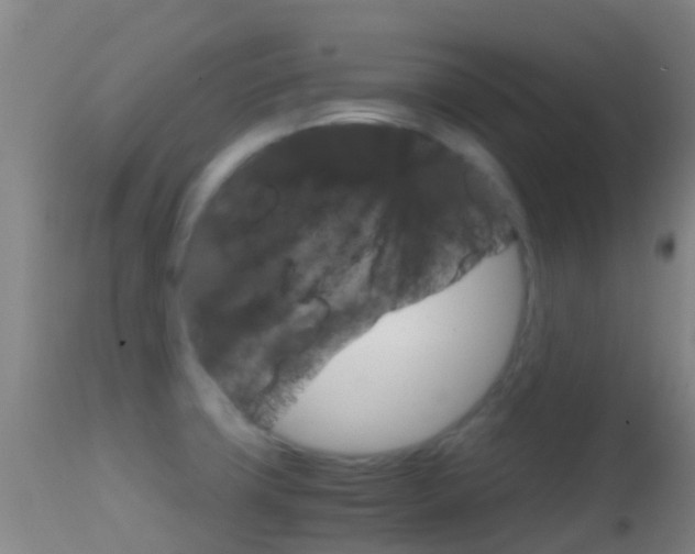 X0000114681427200910211022