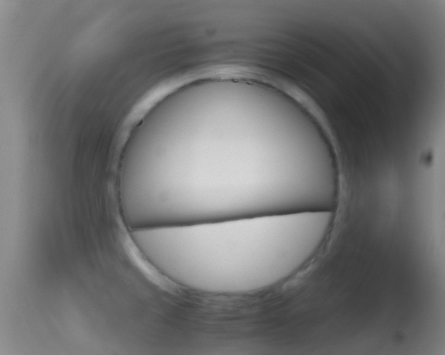 X0000114681429200910211022