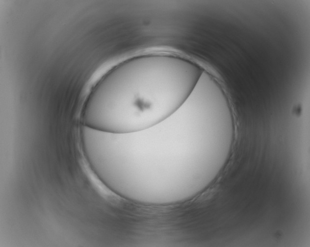 X0000114681430200910211022