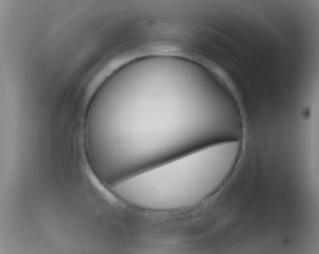 X0000114681432200910211022