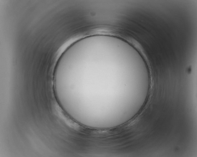 X0000114681435200910211022