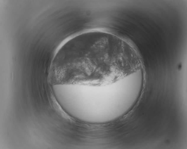 X0000114681436200910211022