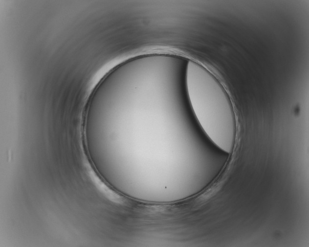X0000114681438200910211022