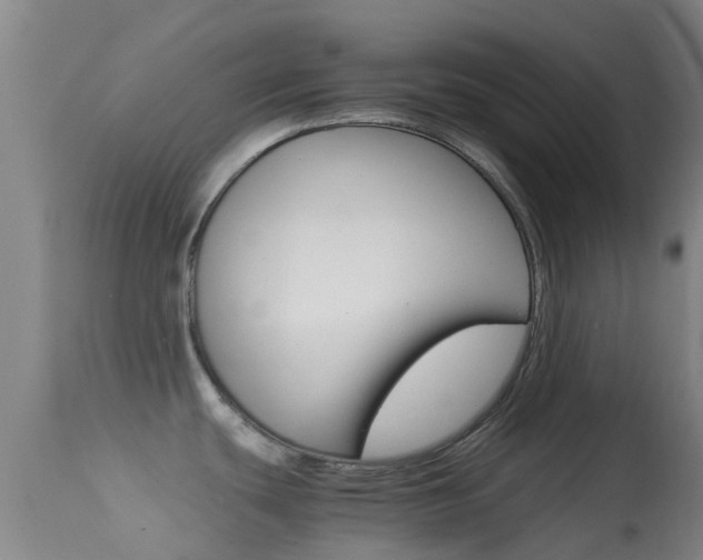 X0000114681439200910211022