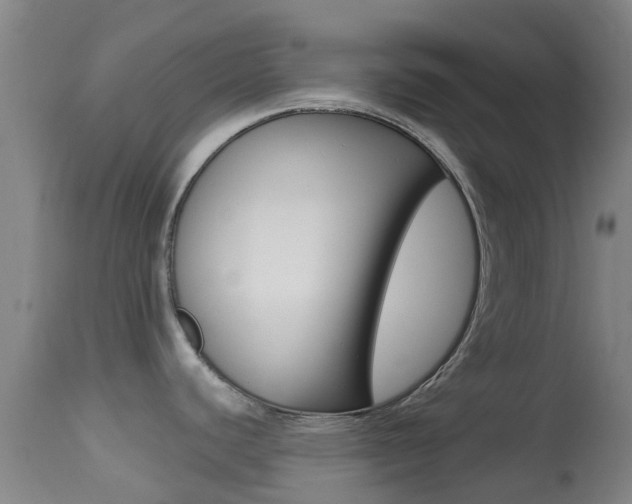 X0000114681440200910211022