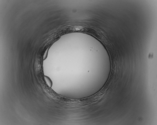 X0000114681442200910211021