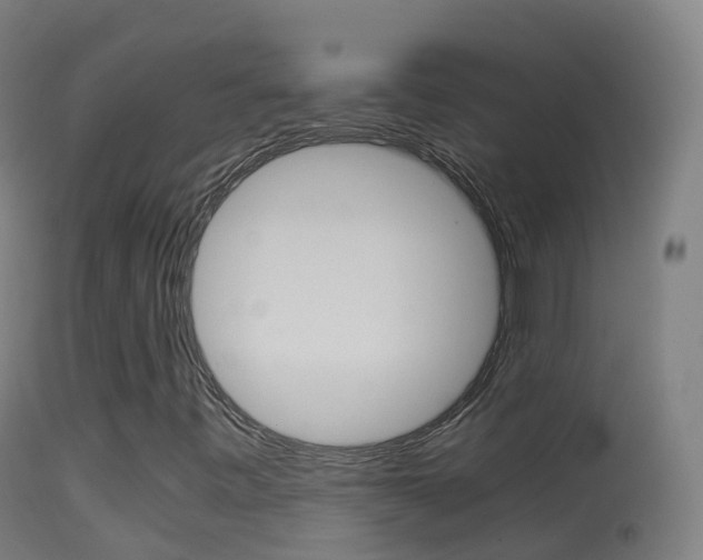 X0000114681443200910211021