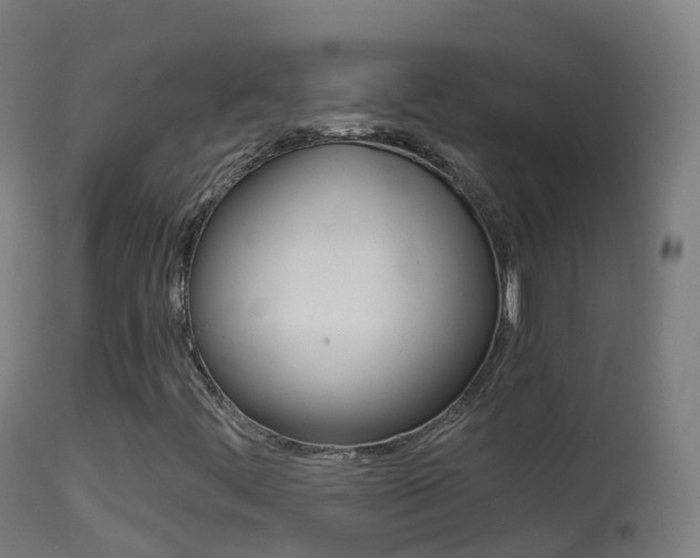 X0000114681444200910211021