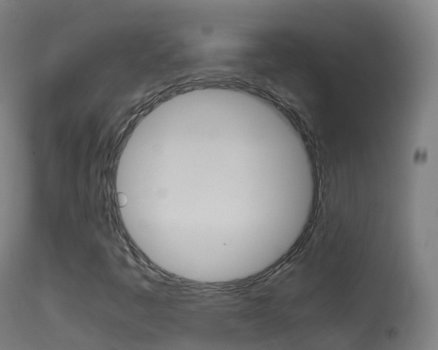 X0000114681445200910211021