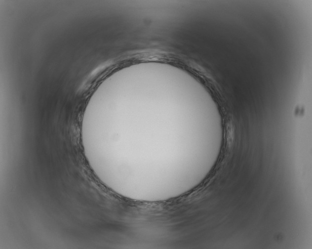 X0000114681446200910211021