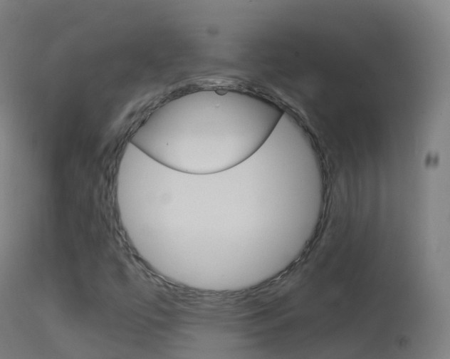 X0000114681447200910211021