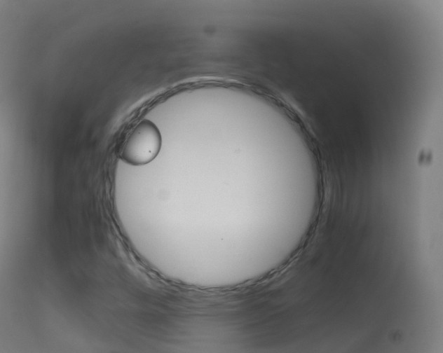 X0000114681448200910211021